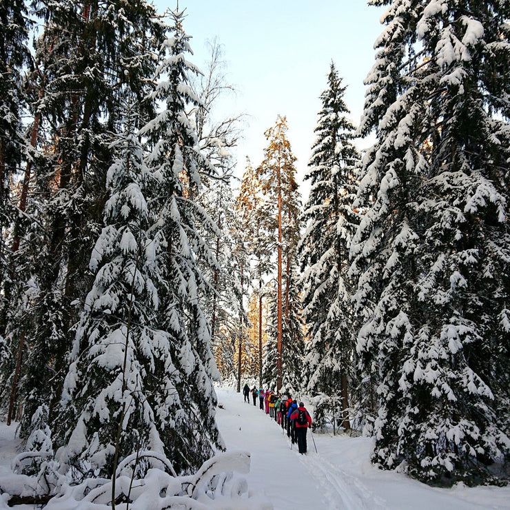 MEŽA MEITA - ZIEMAS IZAICINĀJUMS