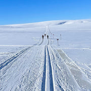 Distanču slēpošana Zviedrijā