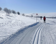 Distanču slēpošana Funäsfjällen, Zviedrijā          I  Grupas pilnas