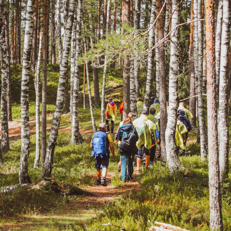Info Pārgājiens 30.aprīlis Pārgājiens