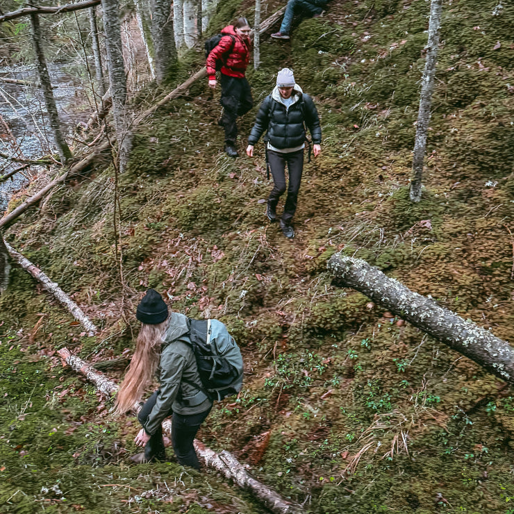 Bridiens un hotdogu darbnīca Raiskuma apkārtnē