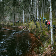 Bridiens un hotdogu darbnīca Raiskuma apkārtnē