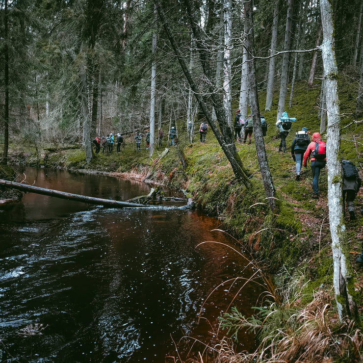 Bridiens un hotdogu darbnīca Raiskuma apkārtnē