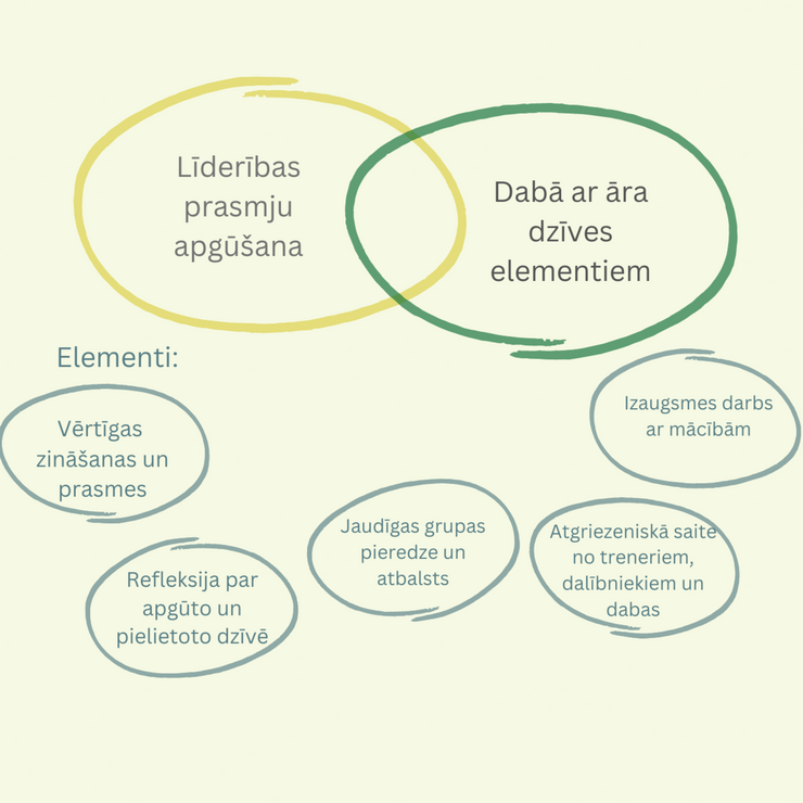 Vadītāju līderības programma "Piekūns"